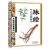 音像医经典著作--脉经白话精解不详