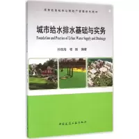音像城市给水排水基础与实务孙凤海,杨辉 编著