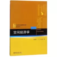 音像空间经济学(21世纪经济与管理规划教材)/经济学系列曾道智