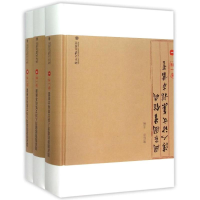 音像图书馆藏清人诗文集稿本丛书(辑)陈红彦