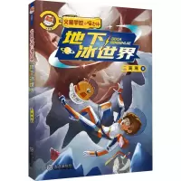 音像地下冰世界高高