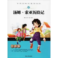 音像汤姆·索亚历险记梓育