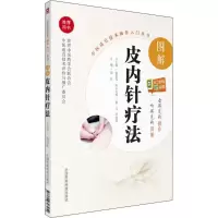 音像图解皮内针疗法周丹 主编