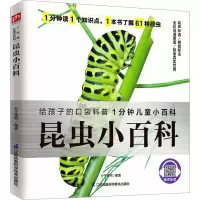 音像昆虫小百科介于童书 编