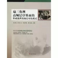 音像扇三角洲高频层序界面的形成机理及地层对比模式张锐 等 著