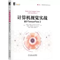 音像计算机视觉实战:基于TensorFlow2