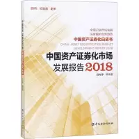 音像中资券化市场发展报告2018冯光华 编著