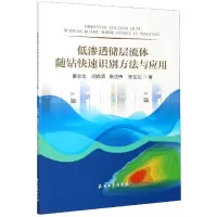 音像低渗透储层流体随钻快速识别方法与应用黄志龙著