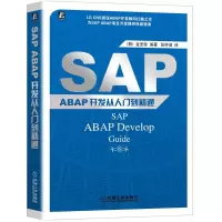 音像SAP ABAP开发从入门到精通(韩)金圣俊 编著