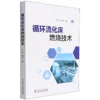 音像循环流化床燃烧技术张缦,岳光溪