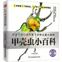 音像甲壳虫小百科介于童书 编