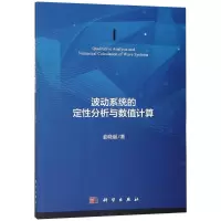 音像波动系统的定分析与数值计算姜晓丽