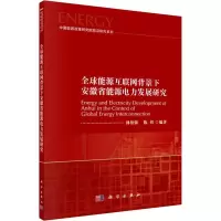 音像全球能源互联网背景下安徽省能源电力发展研究林伯强,陈煜