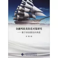 音像金融风险及防范对策研究——基于财政联结的角度商瑾