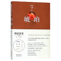 音像琥珀海飞