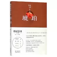 音像琥珀海飞