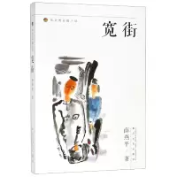 音像宽街/布老虎长篇小说薛燕平