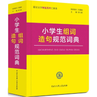 音像小学生组词造句规范词典李行健 主编
