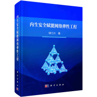 音像内生安全赋能网络弹工程邬江兴