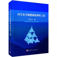 音像内生安全赋能网络弹工程邬江兴