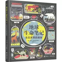 音像地球生命笔记 生态系统的奥秘(美)瑞秋·伊格诺托夫斯基