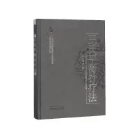 音像王氏平衡针疗法(精)/中国针灸名家特技丛书王文远