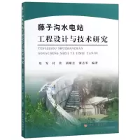 音像藤子沟水电站工程设计与技术研究郑军 等