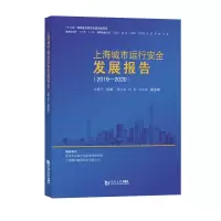 音像上海城市运行安全发展报告(2019-2020)孙建平主编