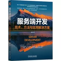 音像服务端开发 技术、方法与实用解决方案郭进