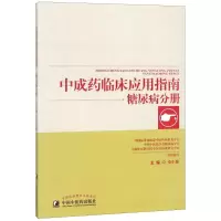 音像成临床应用指南 糖尿病分册仝小林 编 著 仝小林 编