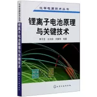 音像锂离子电池原理与关键技术/化学电源技术丛书黄可龙