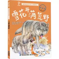 音像雪花开满荒野(俄罗斯)康·帕乌斯托夫斯基 等