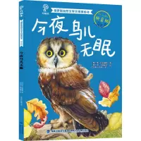 音像今夜鸟儿无眠(俄罗斯)维·比安基 等