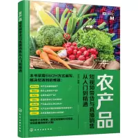 音像农产品带货与直播销售从入门到精通李鸿 编