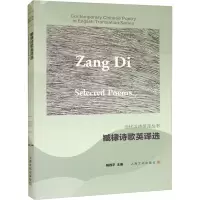 音像臧棣诗歌英译选杨四平 编