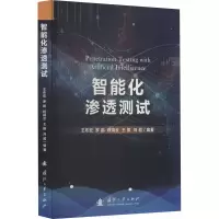 音像智能化渗透测试王布宏 等 编