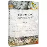 音像工商业与人权(从法律规制到合作治理)梁晓晖