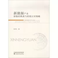 音像新能源产业面临的挑战与财税应对策略何辉