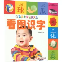 音像聪明宝宝启蒙大全 看图识字京京工作室 编