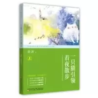 音像一只猫着夜散步金波
