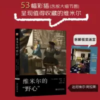 音像维米尔的