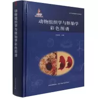 音像动物组织学与胚胎学彩色图谱彭克美