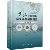 音像长江下游地区常见浮游植物图集王全喜,庞婉婷 编