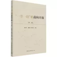 音像与南向开放(第2卷)赵晋平