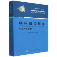 音像临床路径释义·小儿内科分册申昆玲,王天有
