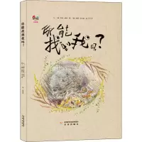 音像你能找到我吗?