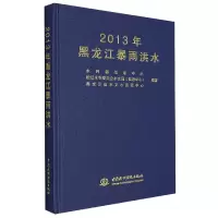 音像2013年黑龙江暴雨洪水
