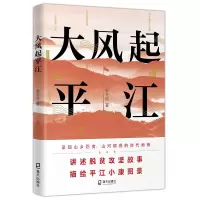 音像大风起平江彭东明 著