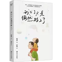 音像我们只是偶然碰上了海桑