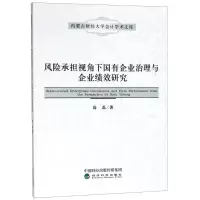 音像风险承担视角下国有企业治理与企业绩效研究高磊
